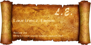 Laurinecz Emese névjegykártya